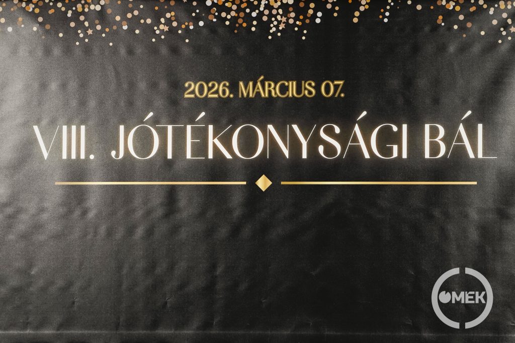 Egymillió a kórháznak - Jótékonysági bált rendeztek a Digitális Erőműben.