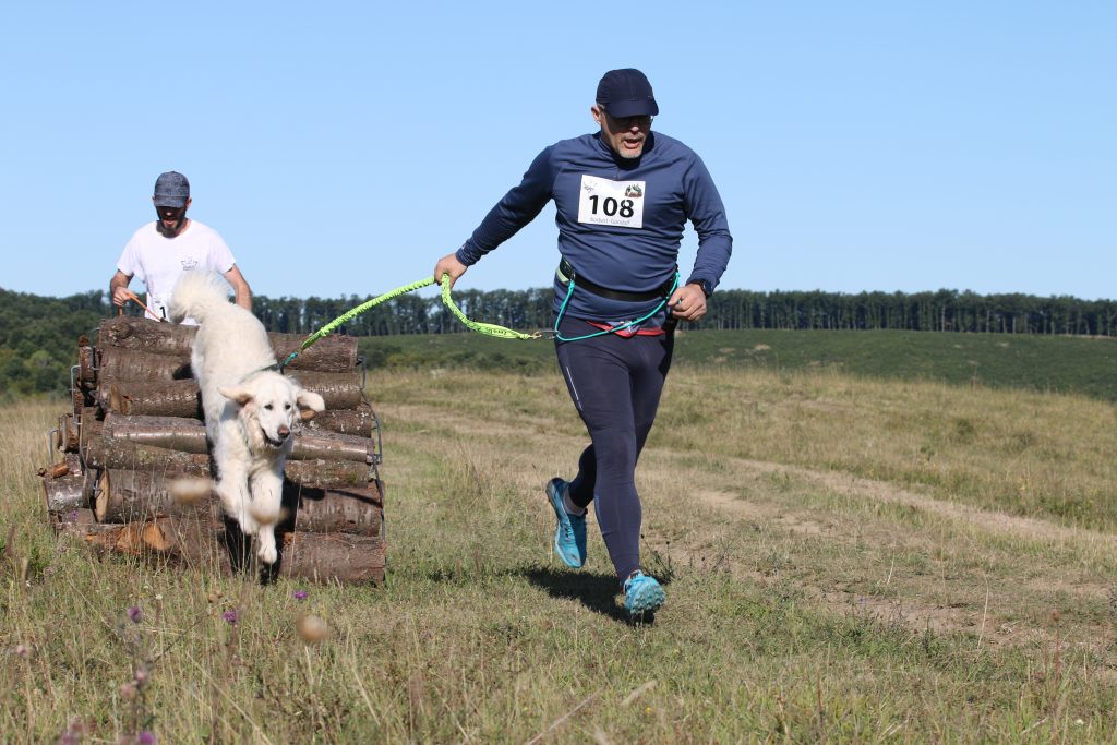 Farakáson vezeti át kutyáját az egyik versenyző.