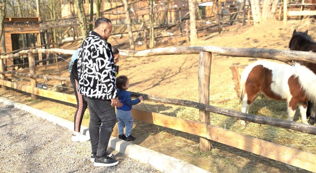 Látogatók az állatsimogatóban.