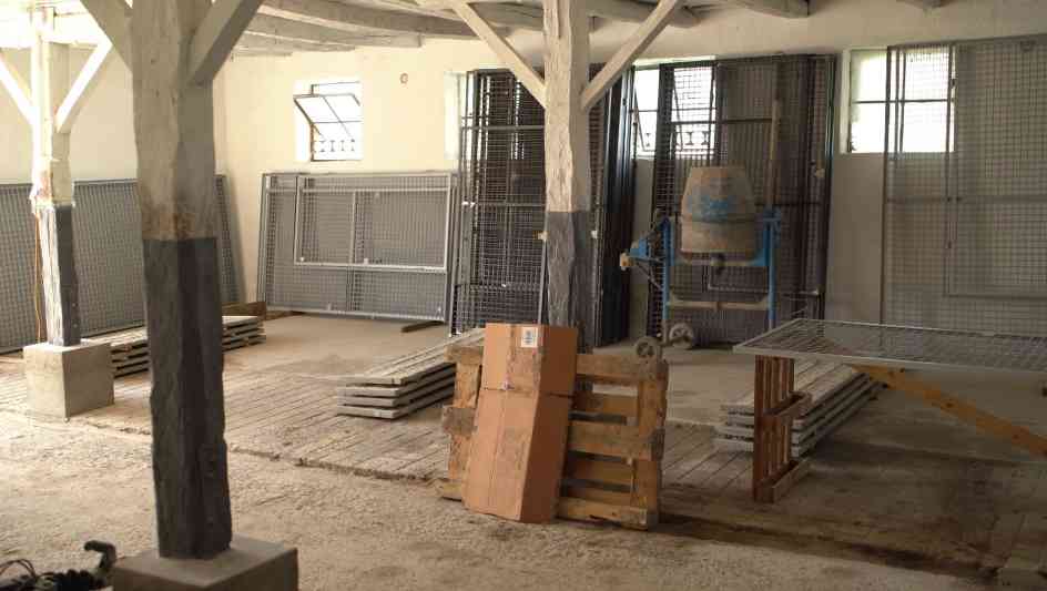 A Civilek a Németjuhászokért Egyesület egy állatotthon létrehozásán dolgozik már hónapok óta.