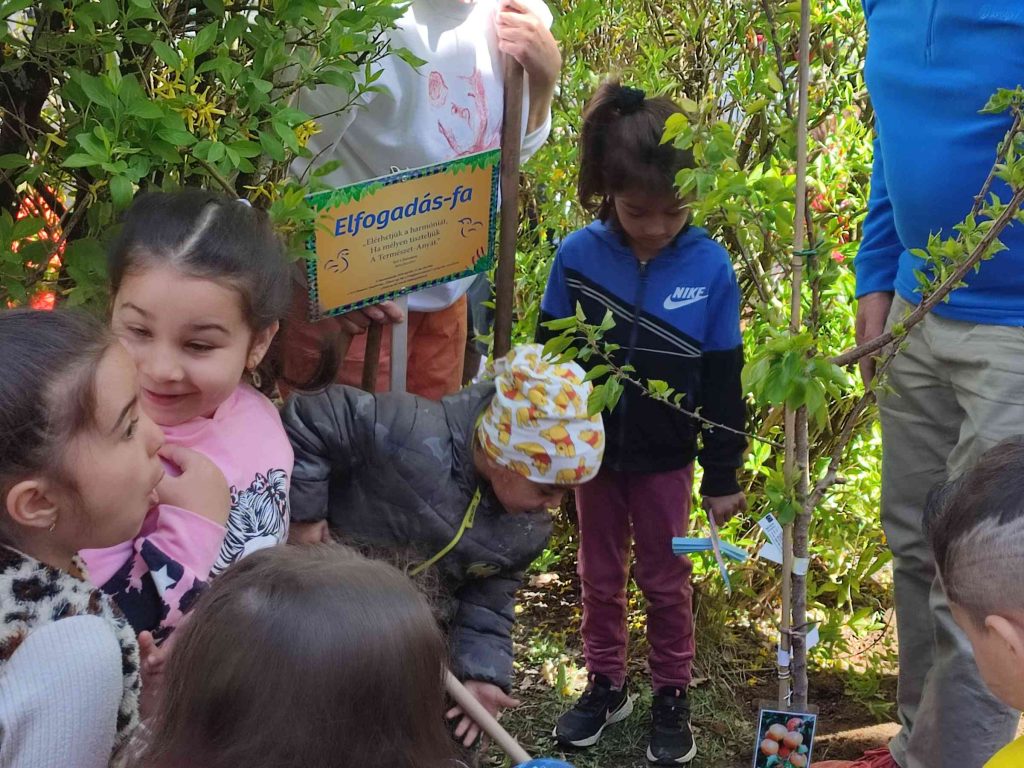 A fa elé tábla került, melyen többek között az elfogadás-fa felirat áll.