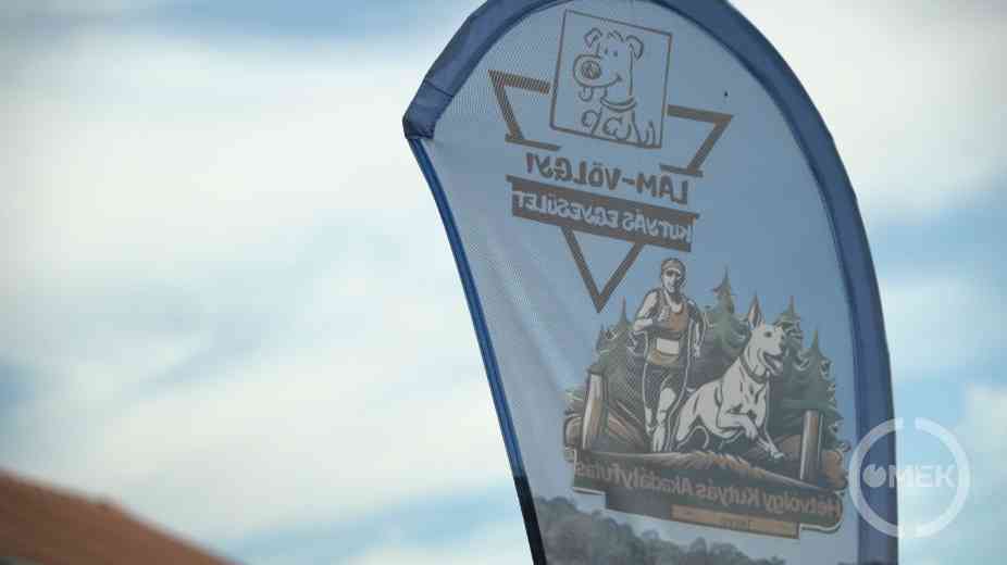 Hétvölgy Kutyás Akadályfutás Hangonyon.