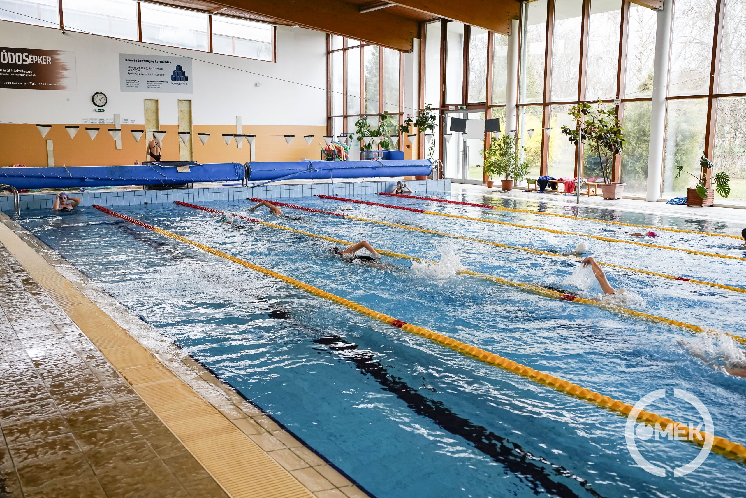 Jól szerepeltek az Ózdi Úszó Klub növendékei.