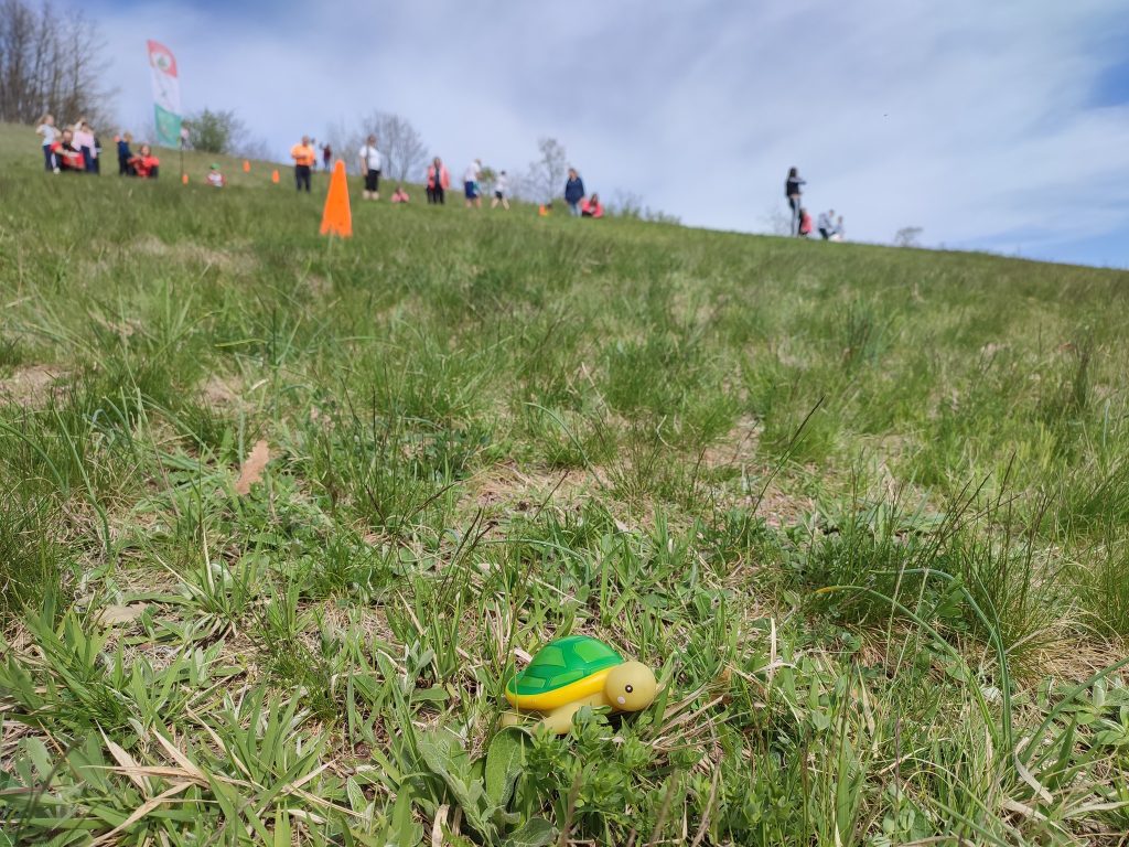 Kis műanyag teknős a fűben.