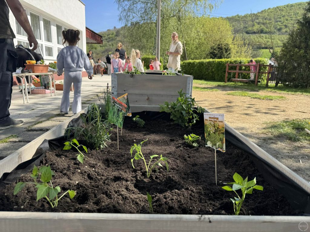 Konyhakert a magaságyásokban.