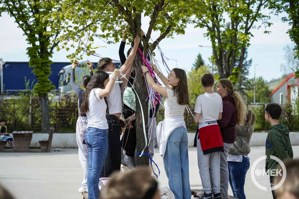 Közösen kötik a szalagokat a diákok a fára.