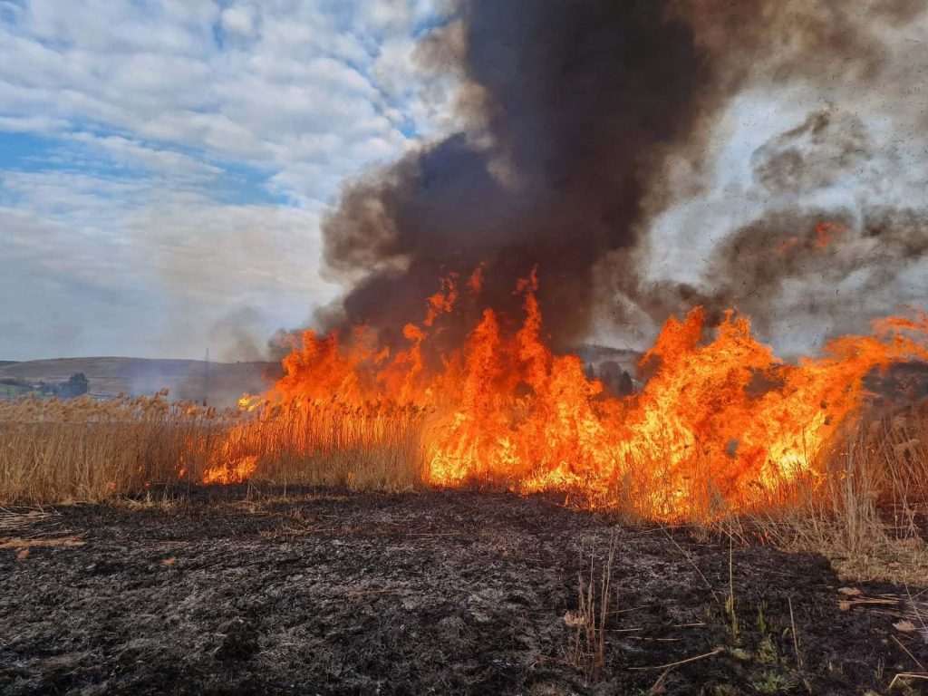Szárazfű-tűz. (Kép forrása: Ózdi HTP)