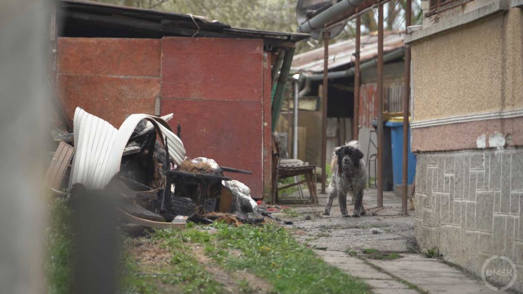 Szétégett berendezési tárgyak az udvaron, mellette egy kutya ugat Centerben.