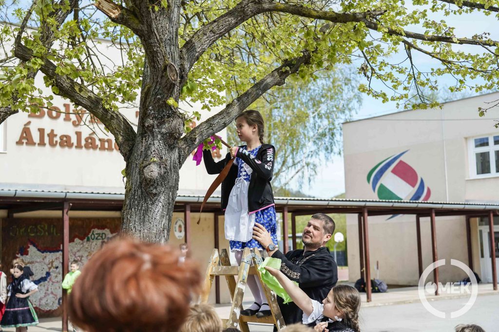 Színes szalagot köt a fára az egyik diák.