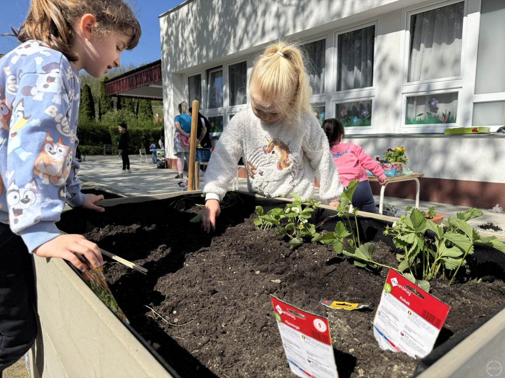 Zajlik az ültetés.