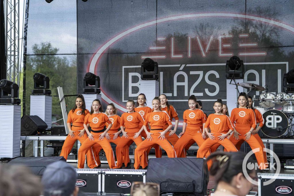 Az ECDS -ek dübörgő slágerekre álmodtak koreográfiákat, több csoport is megmutatta tudását az érdeklődőknek.