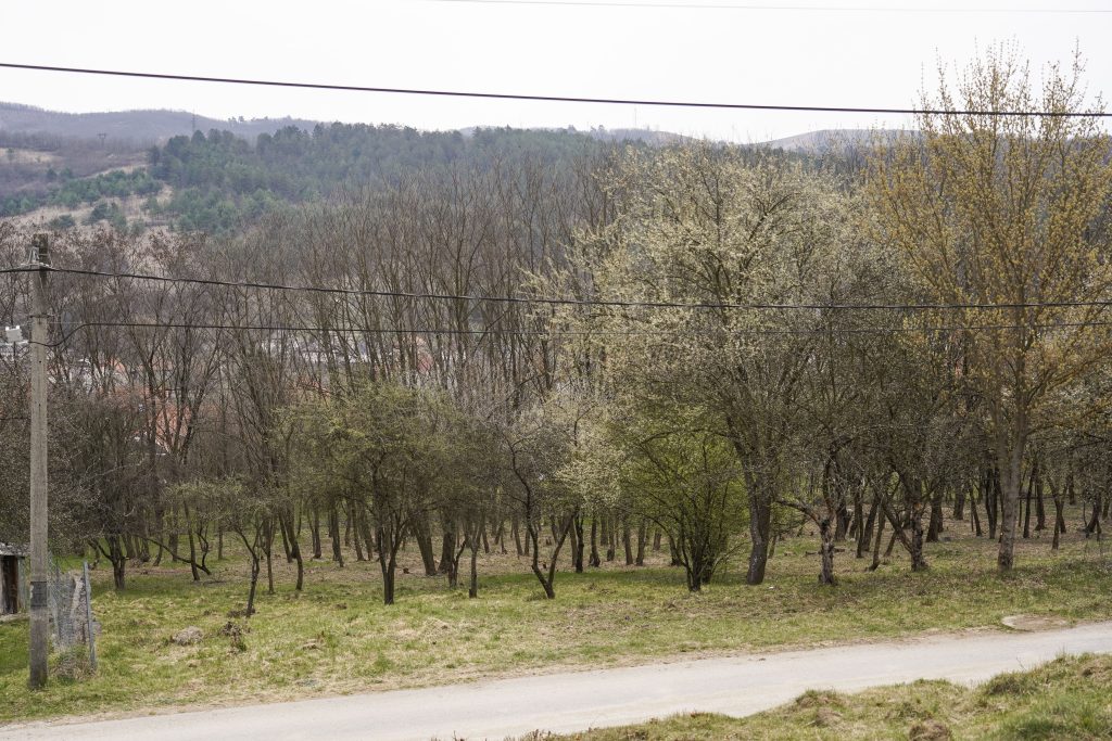 A 3600 Ózd, Mosonyi Mihály út 48-50-52. szám alatti terület.