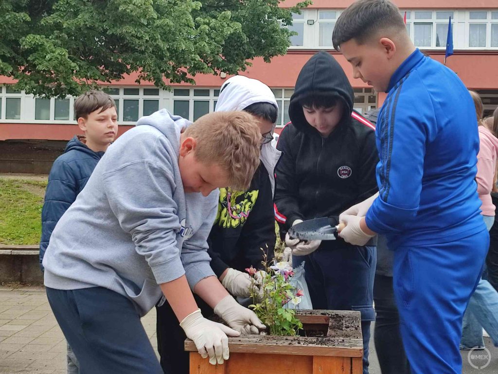 Virágokat ültetnek a srácok a Vasvár suli udvarán.