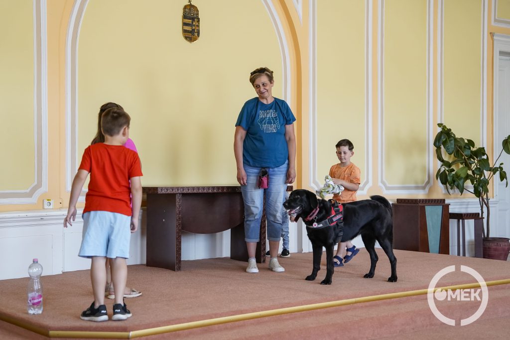 A bemutatóban is részt vehettek a gyerekek.