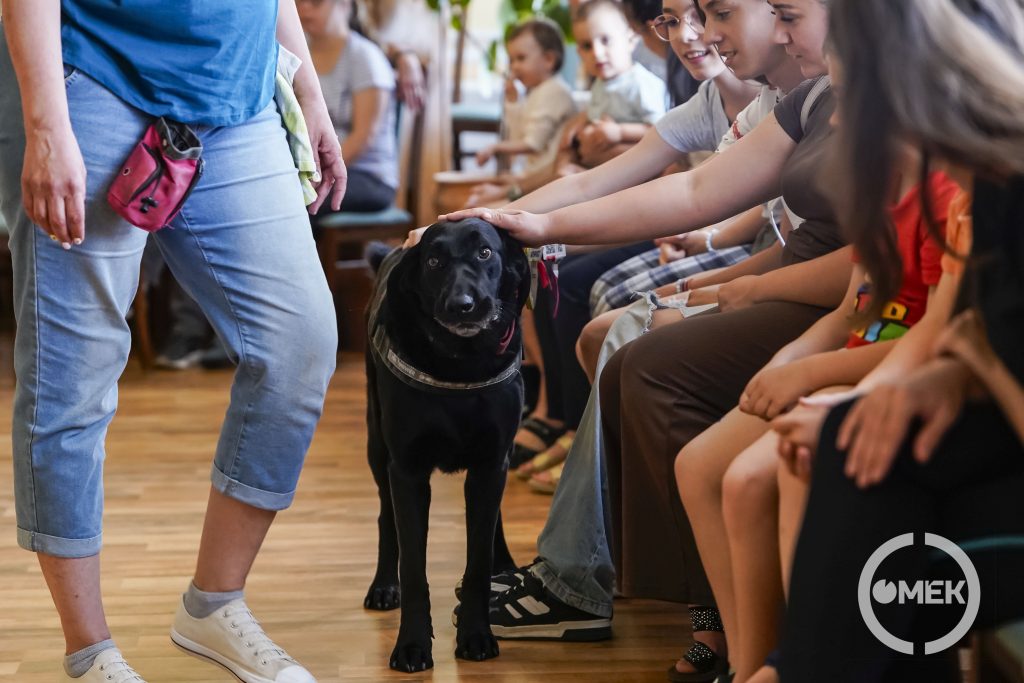 A gyerekek kipróbálhatták, milyen Pollival dolgozni.
