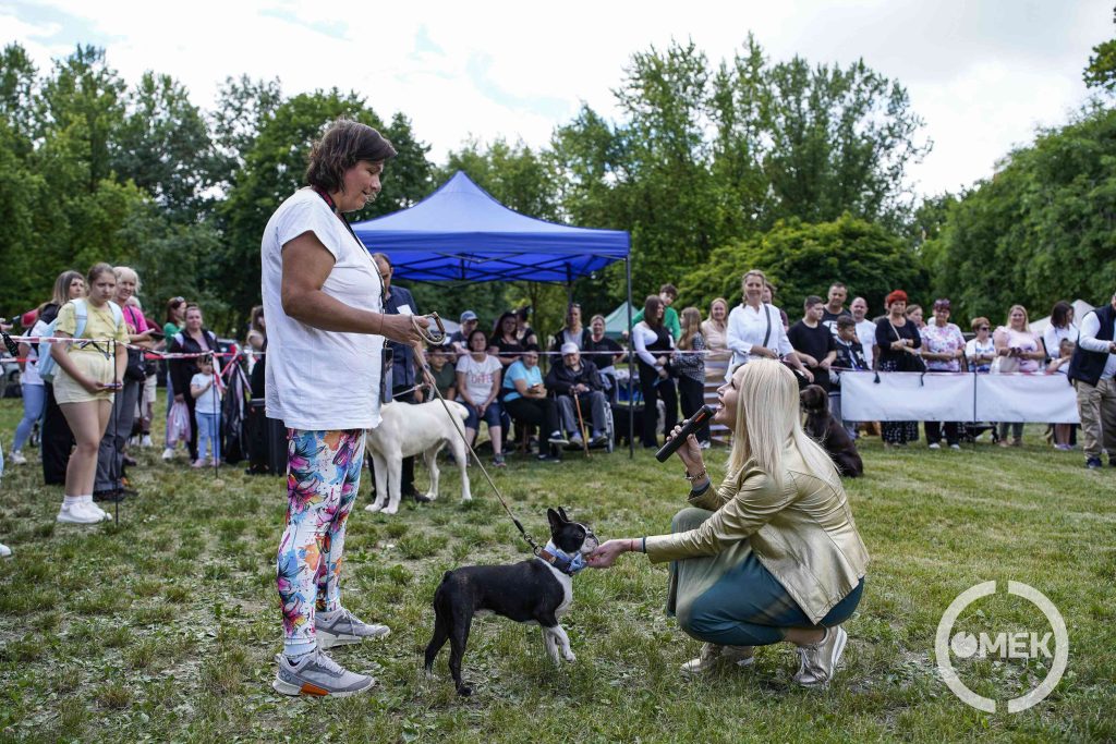 Miló Viktória két kategóriában is zsűrizte a négylábúakat.