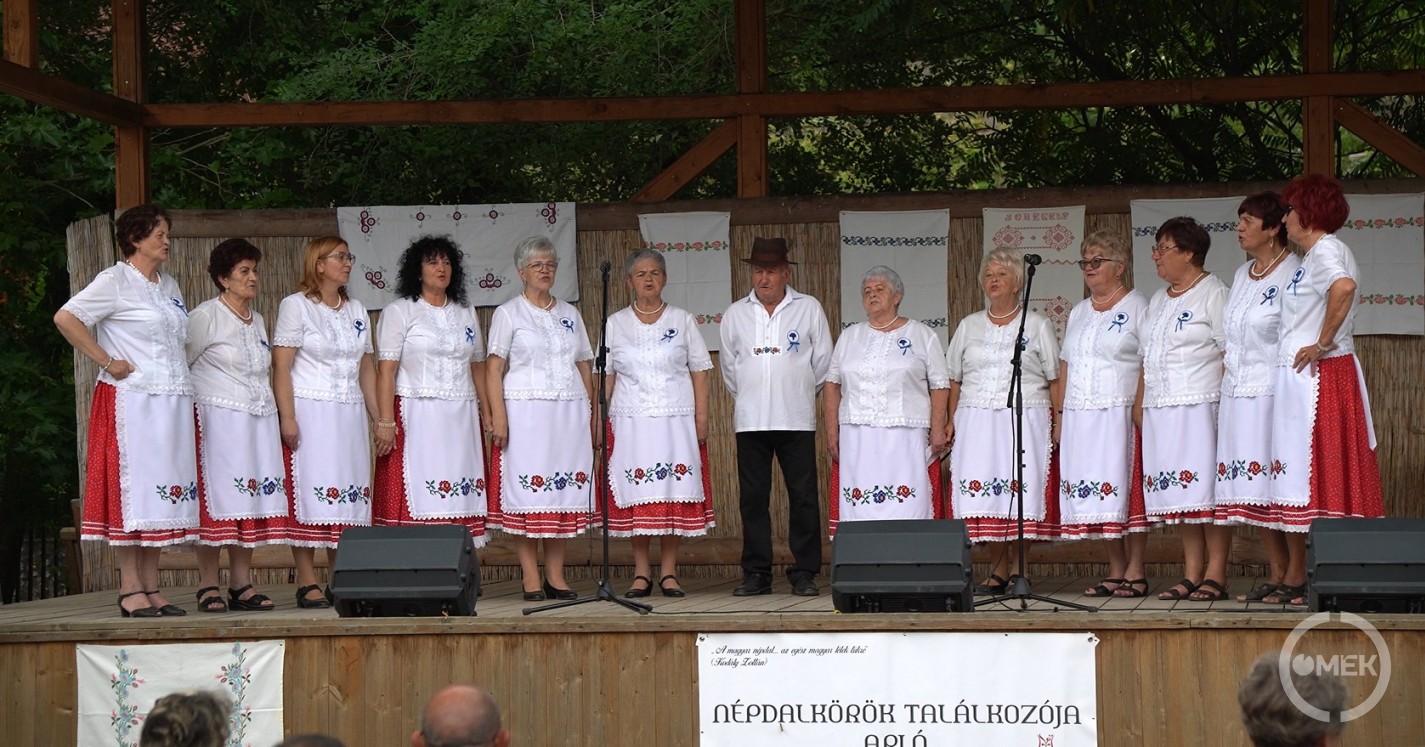 A helyi Búzavirág Népdalkör.