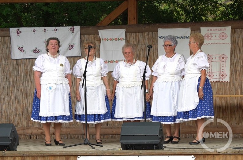 A járdánházi Vadvirág Népdalkör.