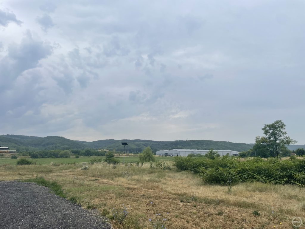 Elszáradt növényzet a parkoló mellett.