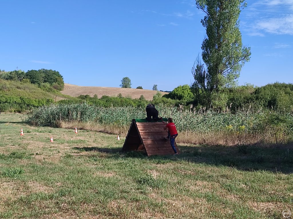 A pálya első akadályát küzdik le a résztvevők.