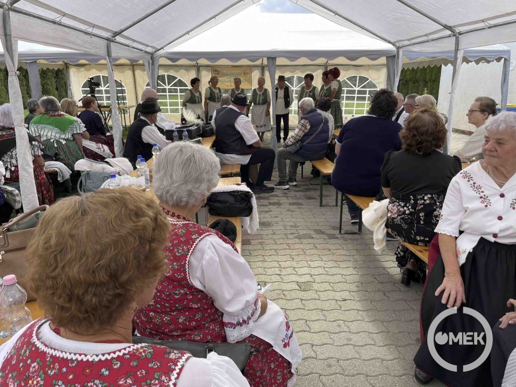 Az Arlói Búzavirág Népdalkör énekel.
