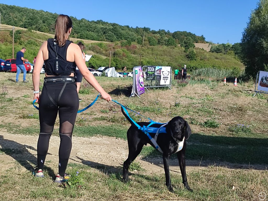 Rajtra készen áll a páros.