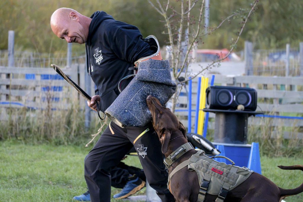 A Lam-völgyi Kutyás Egyesület tagja munka közben.