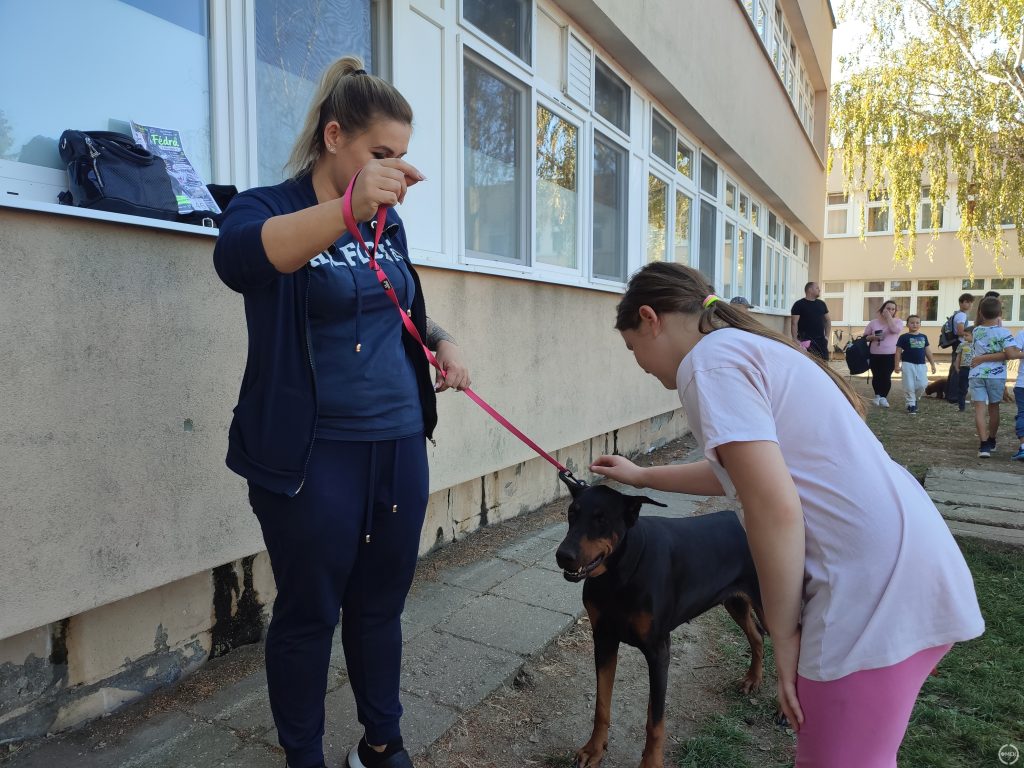 A kislány simogat egy nagyobb testű kutyust.