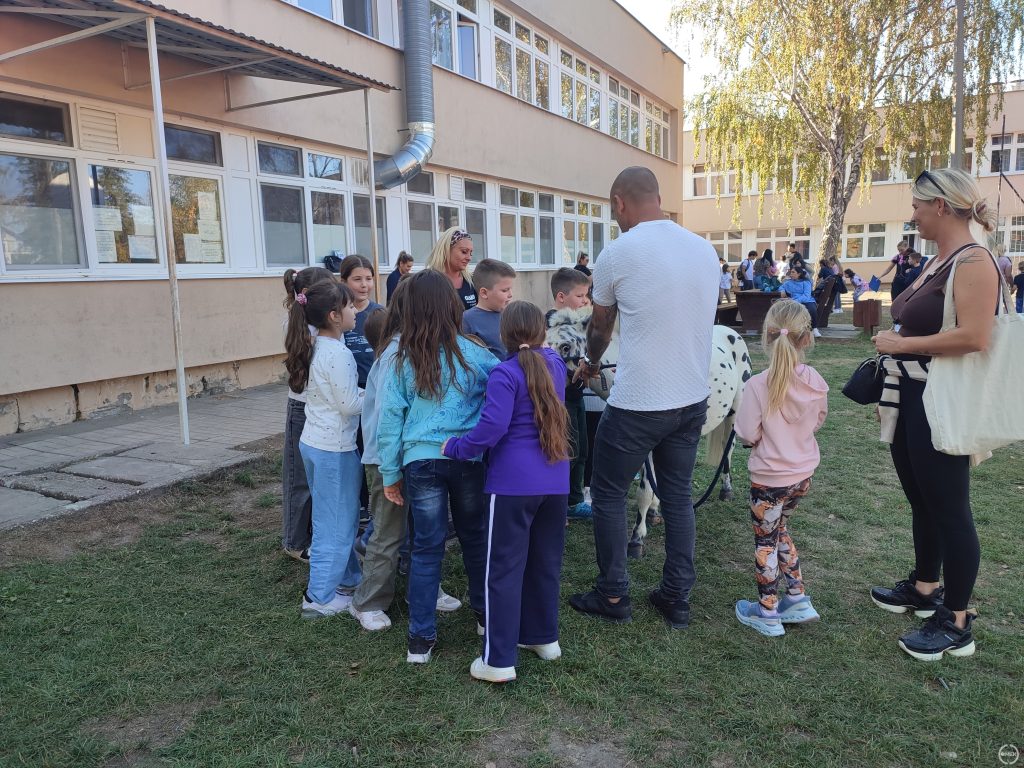 Egy pónit állnak körbe az érdeklődők az udvaron a Bolyky suliban.