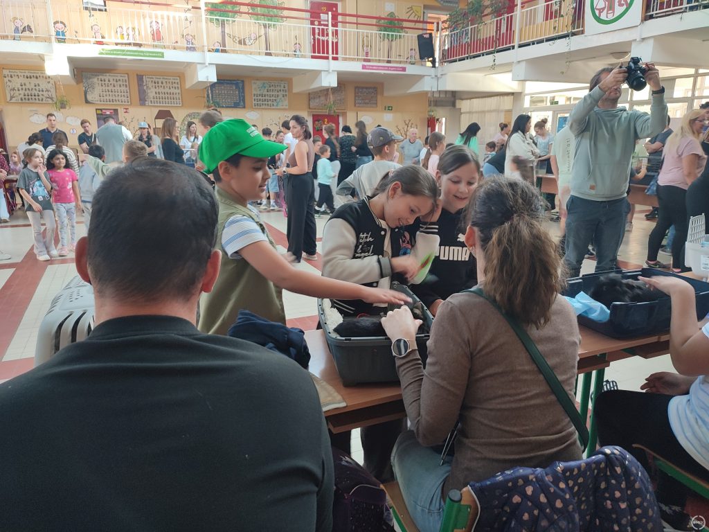 Szavaznak a gyerekek.